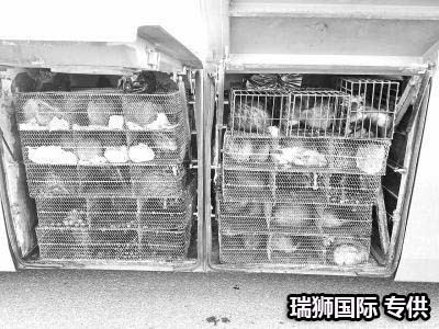 集裝箱的類型 集裝箱的種類 集裝箱用途 集裝箱規(guī)格 集裝箱箱型尺寸對照表、集裝箱尺寸表、集裝箱規(guī)格有幾種尺寸