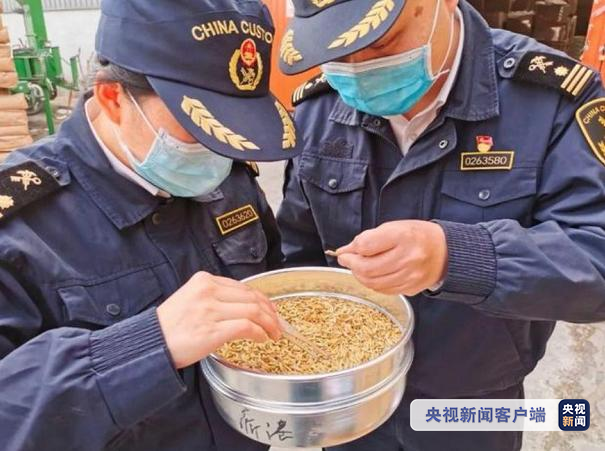 國際物流 國際貨運(yùn)代理 貨運(yùn)代理公司 航空國際貨運(yùn) ?？章?lián)運(yùn) 多式聯(lián)運(yùn)
