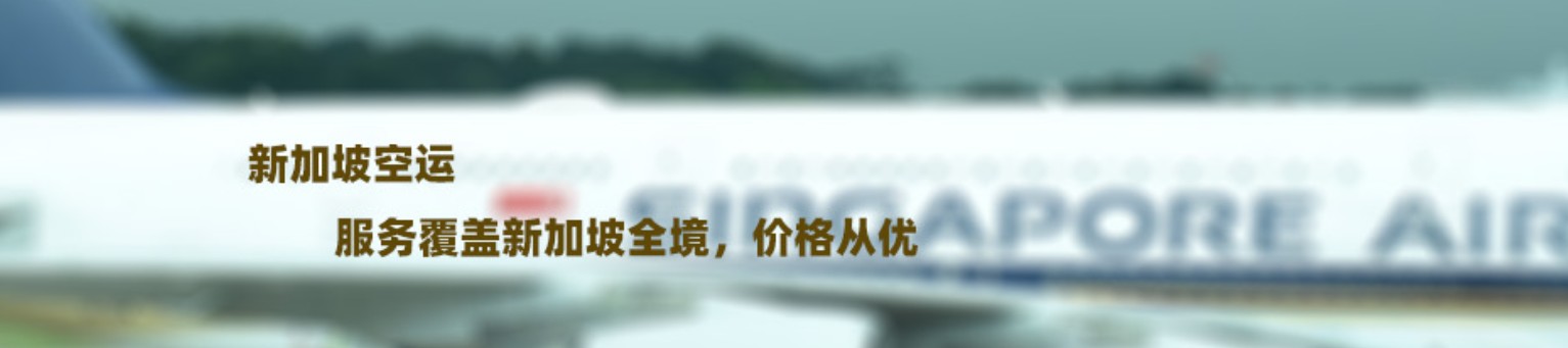 新加坡專(zhuān)線 新加坡海運(yùn)船期查詢(xún) 新加坡空運(yùn)貨物追蹤 新加坡海空聯(lián)運(yùn)雙清包稅門(mén)到門(mén)