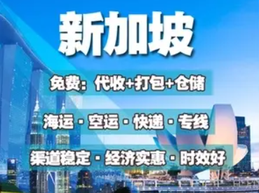 新加坡專(zhuān)線 新加坡海運(yùn)船期查詢(xún) 新加坡空運(yùn)貨物追蹤 新加坡海空聯(lián)運(yùn)雙清包稅門(mén)到門(mén)