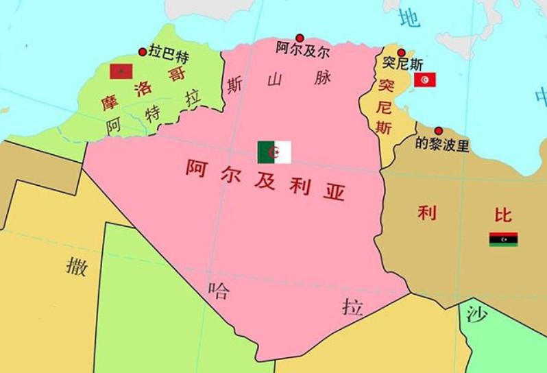 阿爾及利亞專線 阿爾及利亞海運(yùn)船期查詢 阿爾及利亞空運(yùn)貨物追蹤 阿爾及利亞?？章?lián)運(yùn)雙清包稅門到門