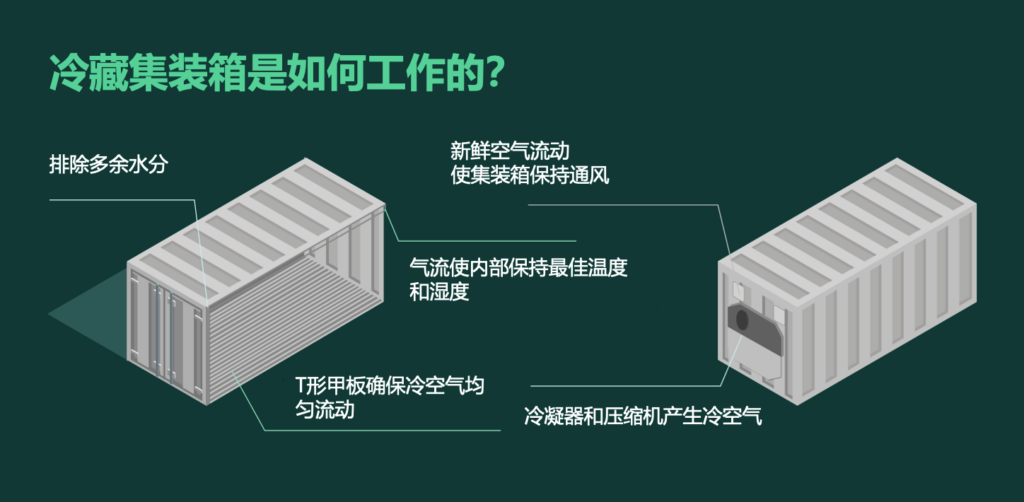 集裝箱冷柜如何運(yùn)作？冷藏集裝箱工作原理 冷凍柜制冷原理
